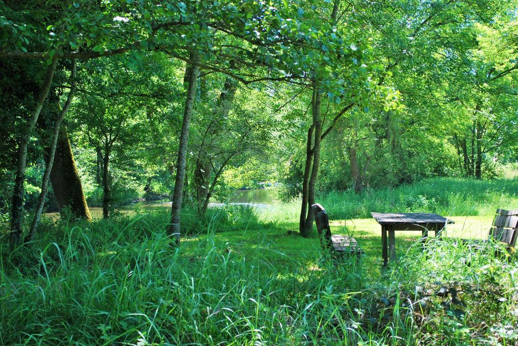Domaine Les Gandins Bed & Breakfast Saint-Germain-de-Salles Bagian luar foto