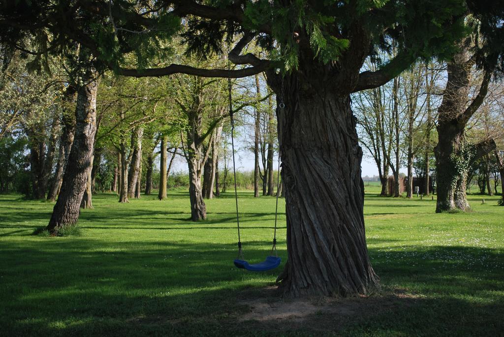 Domaine Les Gandins Bed & Breakfast Saint-Germain-de-Salles Bagian luar foto